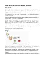 Semaglutida -1.pdf